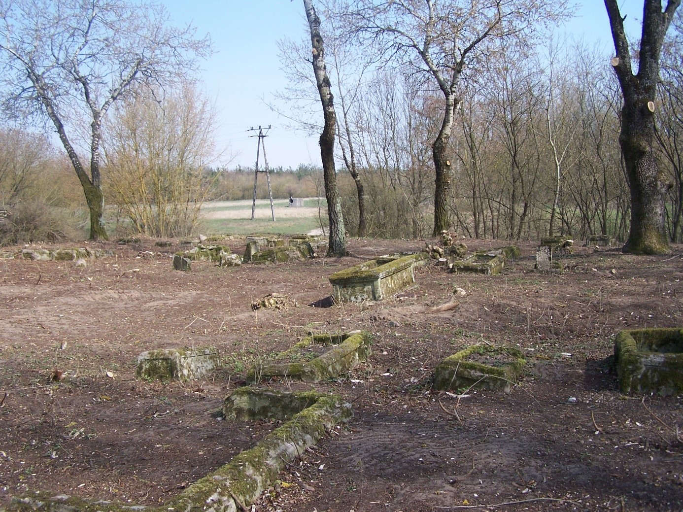 Cmentarz w Przechówko po uporządkowaniu