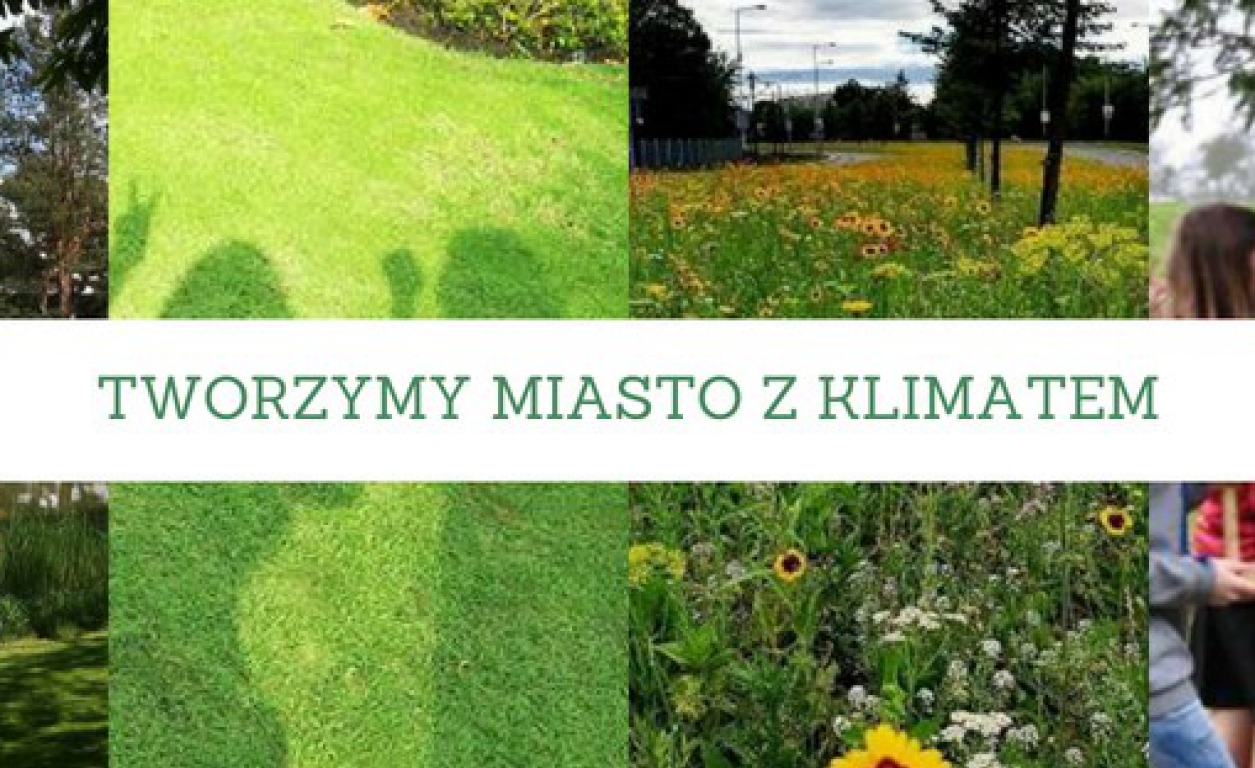 MŁODZI OBSERWATORZY PRZYRODY – tworzymy miasto z klimatem! WEŹ UDZIAŁ!!!